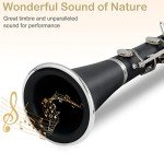 Ktaxon Bb Flat Beginner Clarinet with Accessories