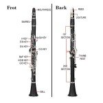 Ktaxon Bb Flat Beginner Clarinet with Accessories