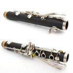 WUQIMUSC Bb Clarinet Set for Beginners with Accessories