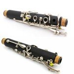 WUQIMUSC Bb Clarinet Set for Beginners with Accessories