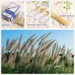 SUEWIO Bb Clarinet Reeds Strength 2.5, 10 Pack