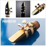 SUEWIO Bb Clarinet Reeds Strength 2.5, 10 Pack
