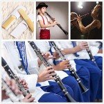 SUEWIO Bb Clarinet Reeds Strength 2.5, 10 Pack