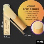 Musiq Maker Clarion Bb Clarinet Reeds, 10-Pack