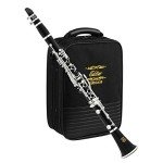 Eastar B Flat Clarinet with Accessories and Case