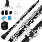 Eastar B Flat Clarinet with Accessories and Case