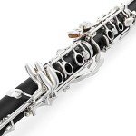 Eastar B Flat Clarinet with Accessories and Case