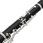 Eastar B Flat Clarinet with Accessories and Case