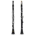 Eastar B Flat Clarinet with Accessories and Case