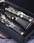 Eastar Portable Detachable Clarinet Stand with Bag