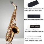 Complete Clarinet and Saxophone Cleaning Kit