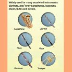 Natural Cork Grease for Woodwind Instruments - 10pcs