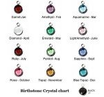 Personalized Birthstone Music Earrings for Musicians