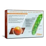 Titleist Velocity Orange Golf Balls - 12 Pack