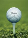 Titleist Pro V1 Golf Balls - 12 Pack, No Logos