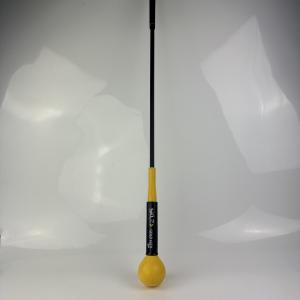 SKLZ Gold Flex 40" Swing Trainer for Golf