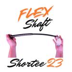 Shortee 23" Golf Training Club for Swing Practice