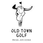 PROJECTX Old Town Golf LZ Driver/Fairway Shaft