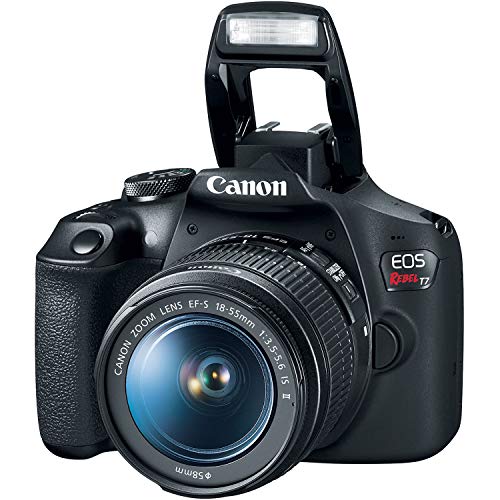 Canon EOS Rebel T7 Double Zoom Kit