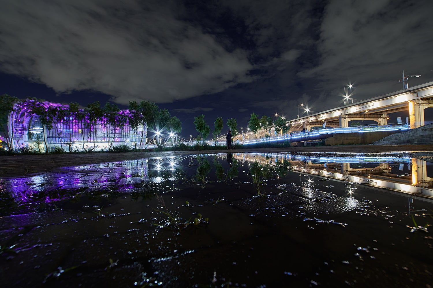 Rokinon 10mm f/2.8 Wide-angle Lens for Nikon