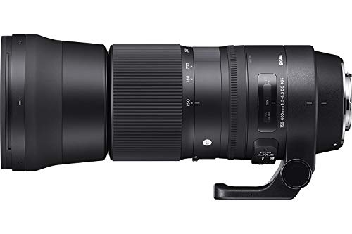 Sigma 150-600mm Contemporary Canon Lens - Black