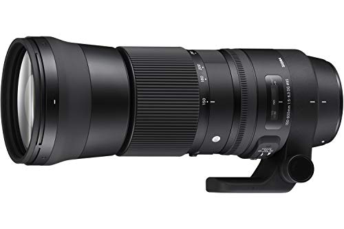 Sigma 150-600mm Contemporary Canon Lens - Black
