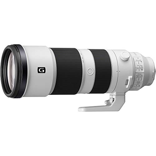 Sony 200-600mm G OSS Zoom Lens
