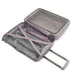 Expandable 20-Inch Hardside Spinner Luggage - Purple
