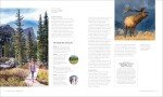 Explore America's National Parks: A Travel Guide