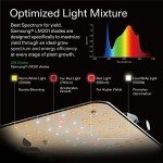 Complete 2x2 Grow Tent System Kit