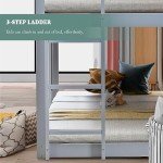Grey Wooden Bunk Bed with Ladder and Canopy