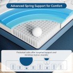 Elemuse 10 6 Memory Foam Hybrid Mattress 4Ft6