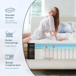 Elemuse 10 6 Memory Foam Hybrid Mattress 4Ft6