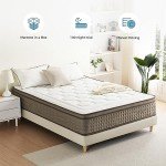 Inofia 12 Memory Foam Double Mattress