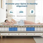 Inofia 12 Memory Foam Double Mattress