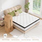 King Memory Foam Mattress With Pocket Springs 10 6