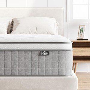TeQsli 10-Inch Gel Memory Foam Hybrid Mattress