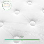 Nixnap 10 Inch Double Hybrid Gel Mattress