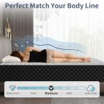 MOLPHIT 10-Inch Double Innerspring Memory Foam Mattress