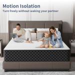 MOLPHIT 10-Inch Double Innerspring Memory Foam Mattress