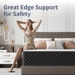 MOLPHIT 10-Inch Double Innerspring Memory Foam Mattress