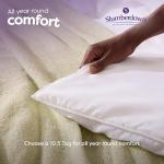 Anti Allergy Double Duvet Year Round Comfort