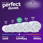 Anti Allergy Double Duvet Year Round Comfort
