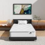 Sleepwell 3FT Orthopaedic Inner Spring Mattress