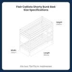 Flair Furnishings Shorty Wooden Bunk Bed for Kids