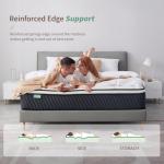 European Double Memory Foam Hybrid Mattress - 12 Inch