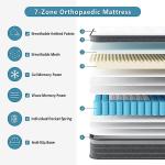 TeQsli 10-Inch Pocket Sprung Double Mattress