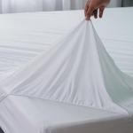 Waterproof Mattress Protector With Deep Stretch Skirt