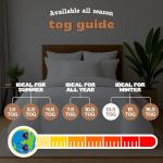 Cozy Anti Allergy Single Duvet Winter Quilt