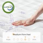 Vesgantti 10-Inch Single Hybrid Mattress